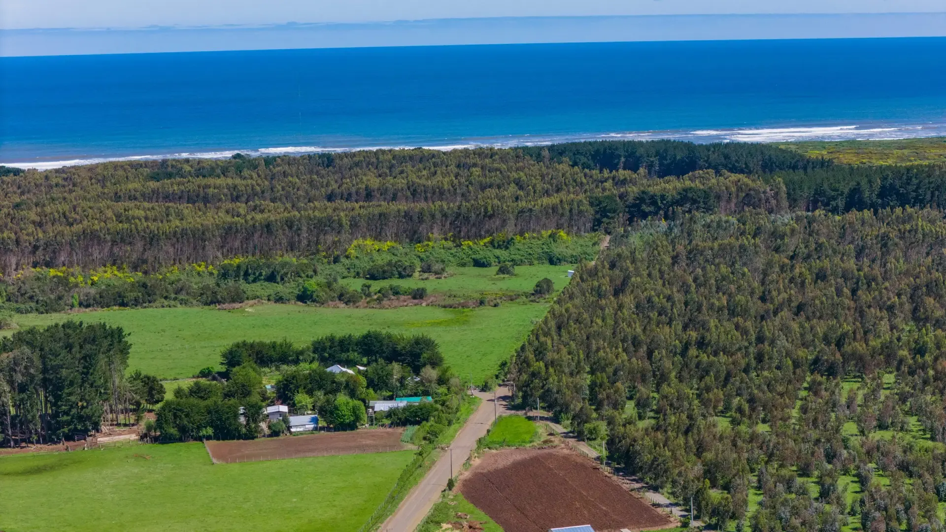 Vista aérea de praderas y arboledas con el mar en el horizonte