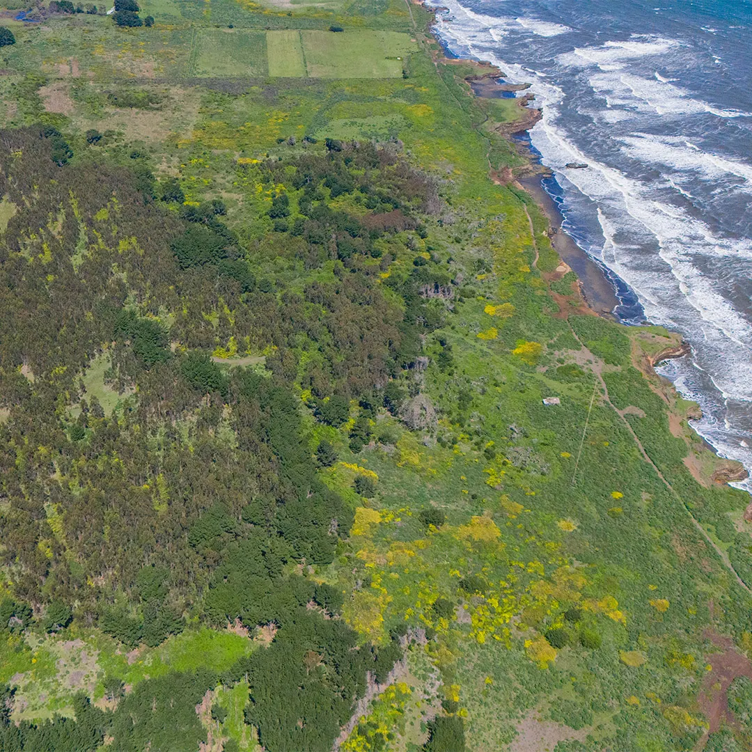 Vista aérea del sector de Porma I junto a la costa